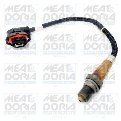 Oxygen Sensor
